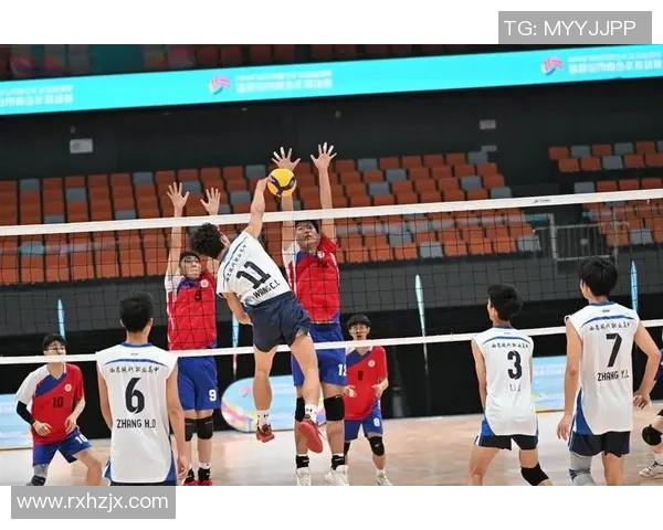 西安排球队的战术布局与比赛意识深度解析