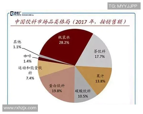 南京网球队的转型之路：得失与挑战并存的深度分析